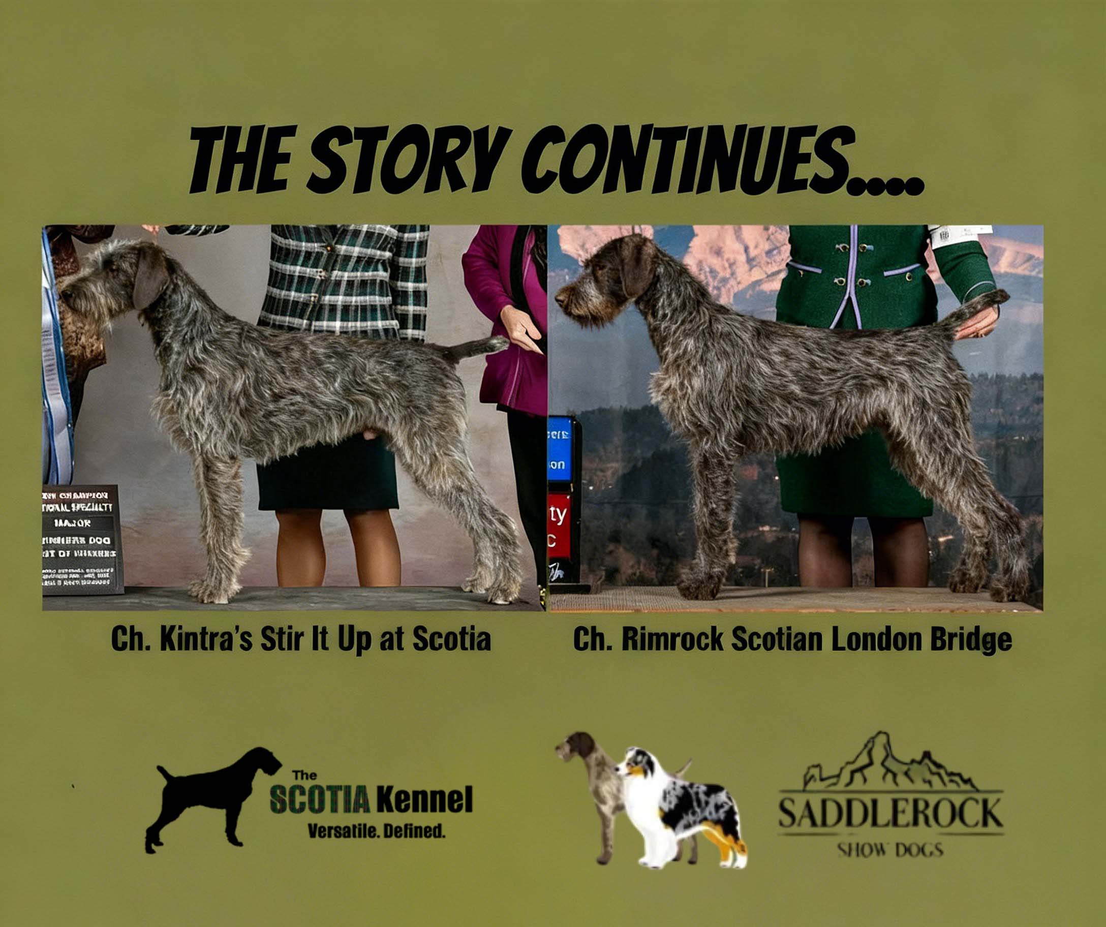 Kintra × London Bridge 2025 Litter